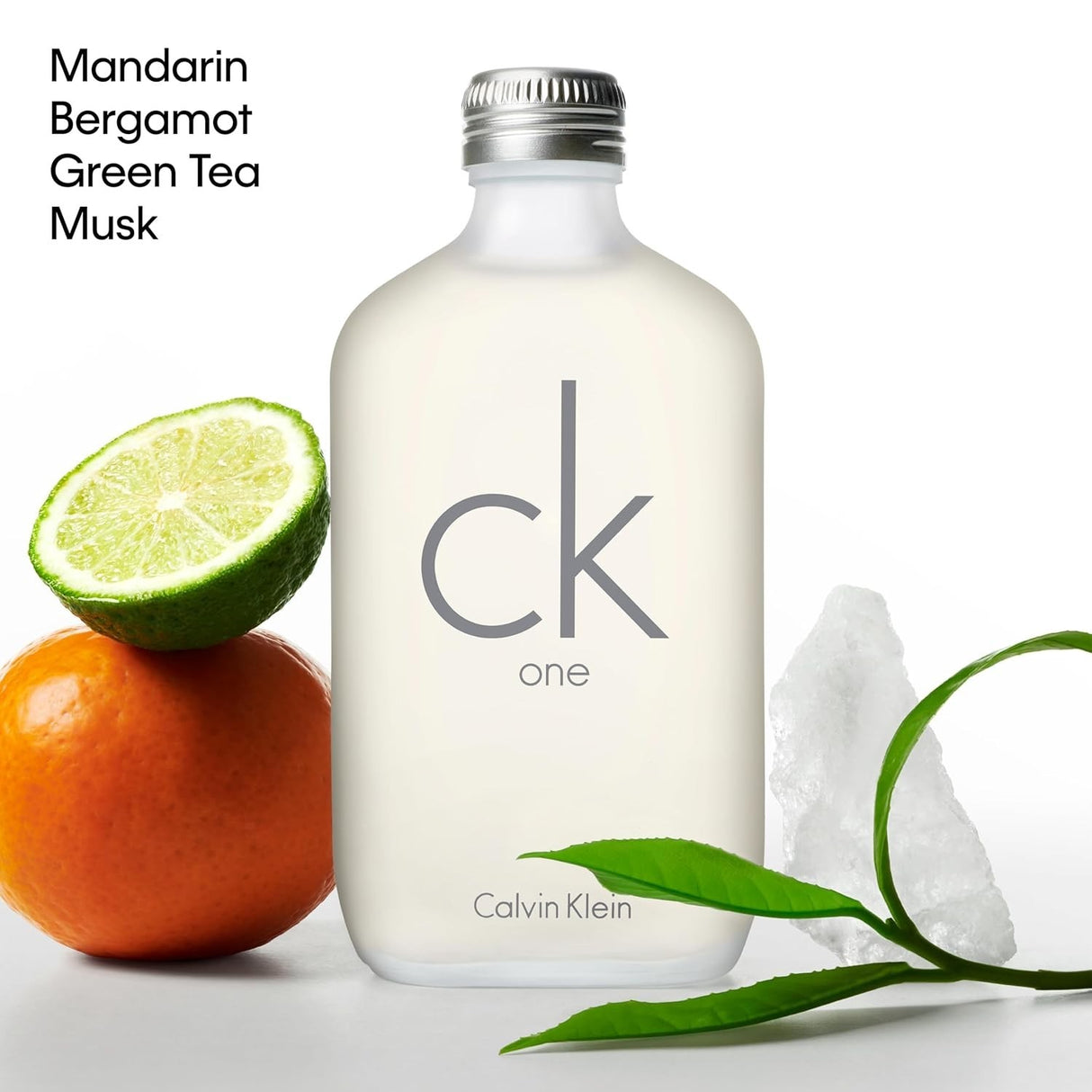 CK One by Calvin Klein Eau de Toilette Spray 3.3 oz