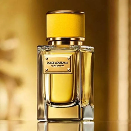 Dolce & Gabbana Velvet Ginestra for Women Eau de Parfum Spray 5 oz