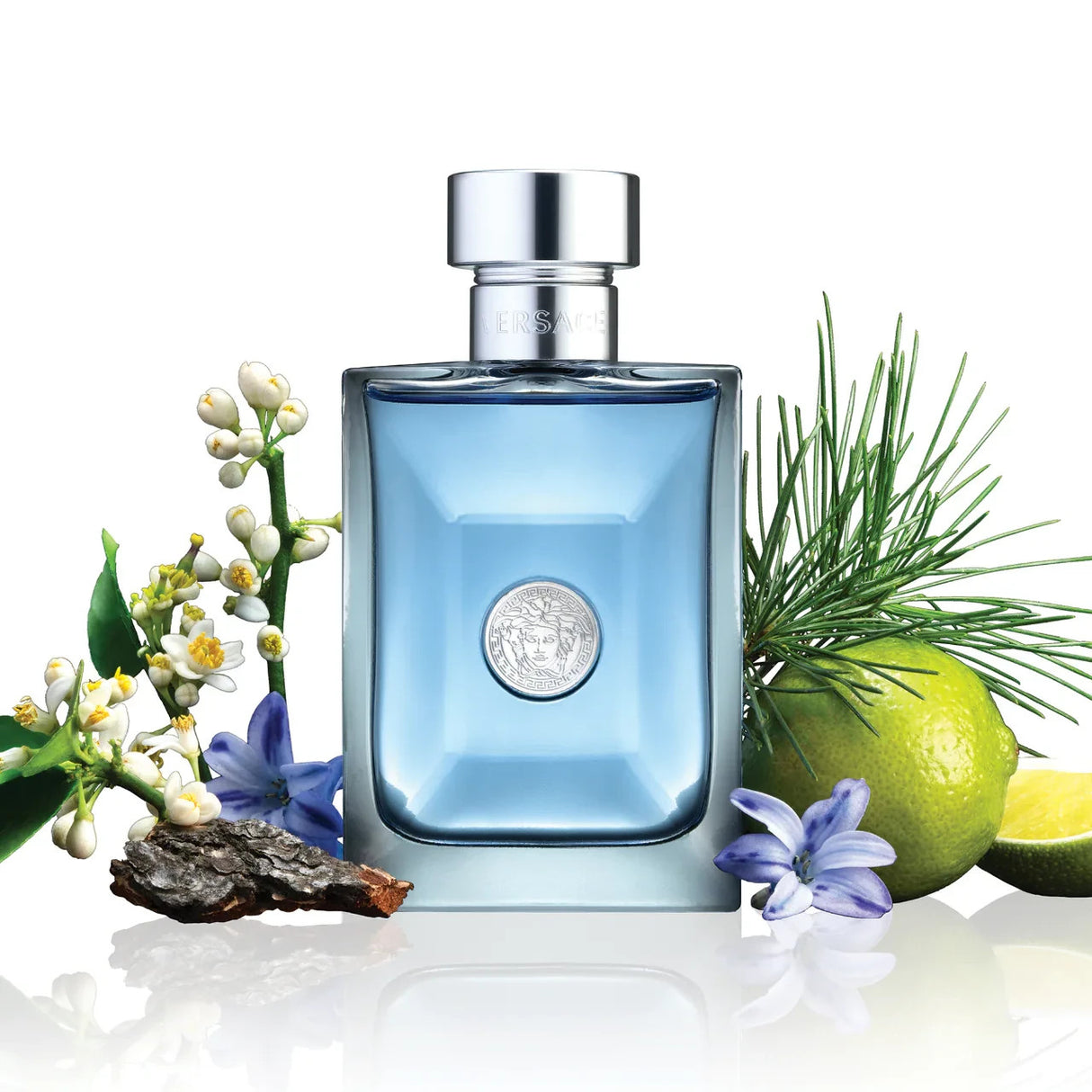 Versace Pour Homme for Men Eau de Toilette Spray 3.4 oz