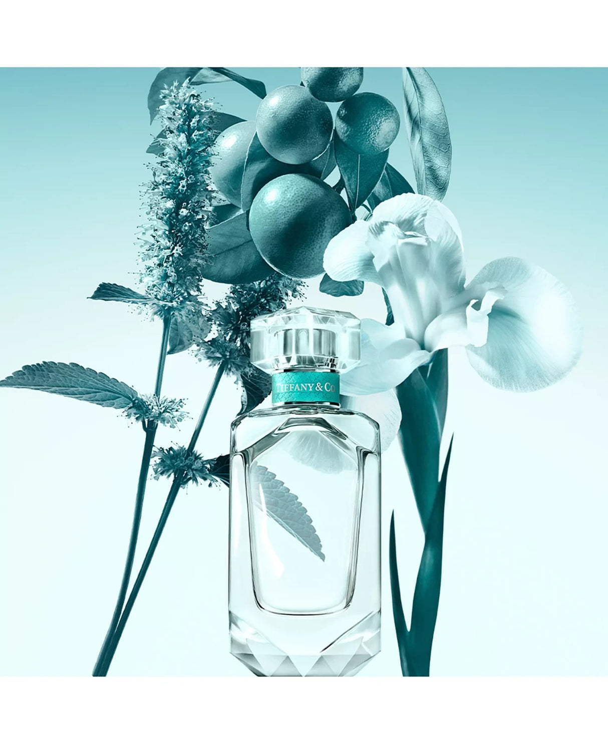 Tiffany & Co Tiffany for Women Eau de Parfum Spray 1.7 oz
