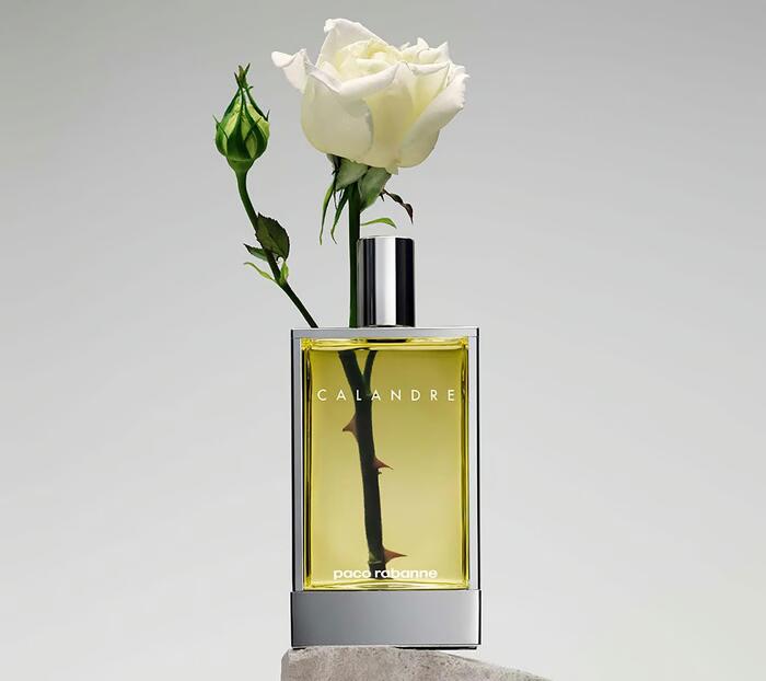 Calandre by Paco Rabanne for Women Eau de Toilette Spray 3.4 oz
