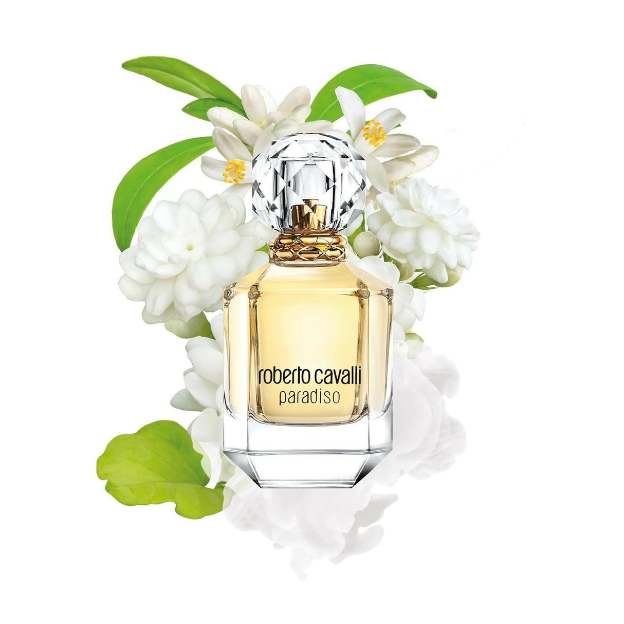 Roberto Cavalli Paradiso Fragrance for Women 2 Piece Gift Set