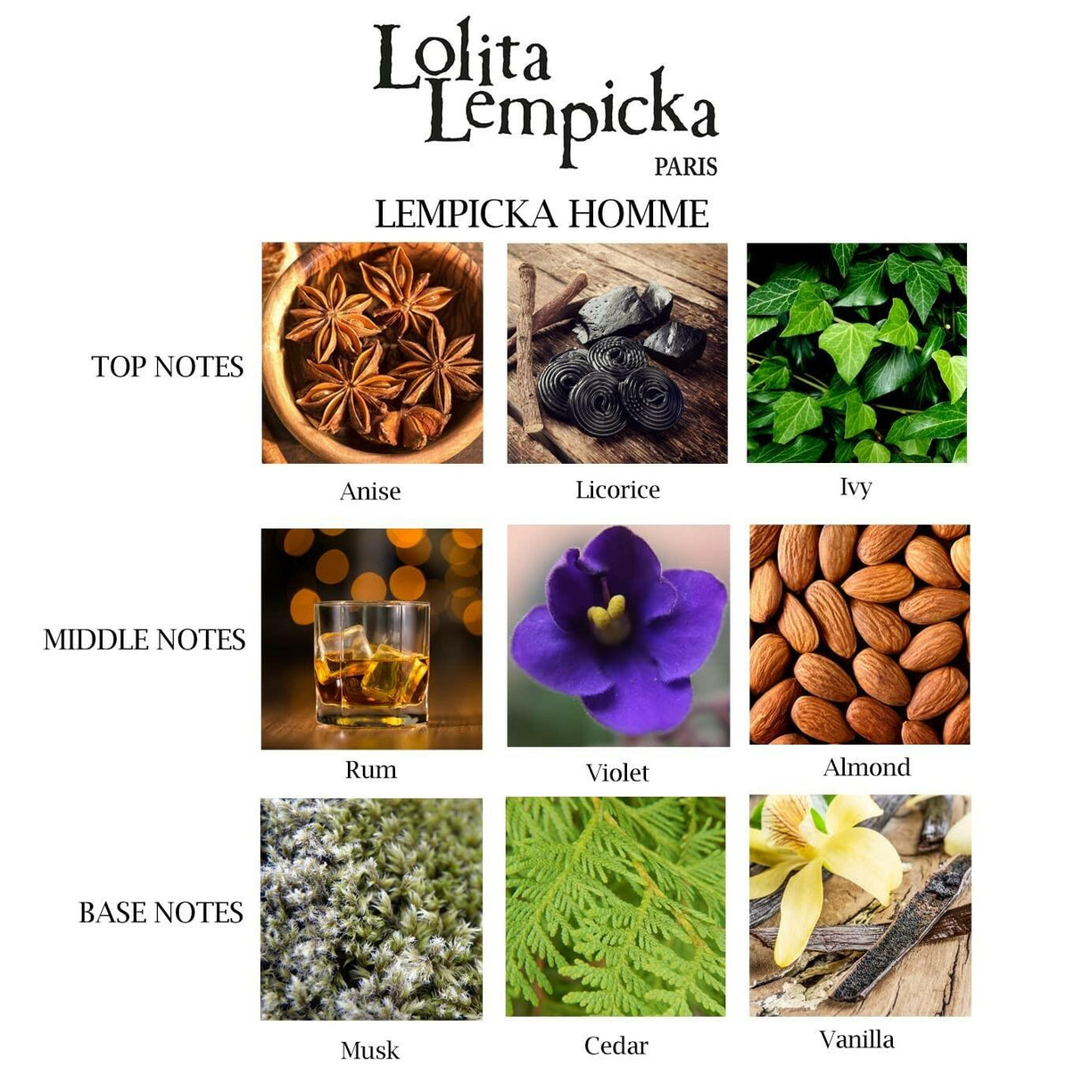 Lempicka by Lolita Lempicka for Men Eau de Toilette Spray 3.4 oz