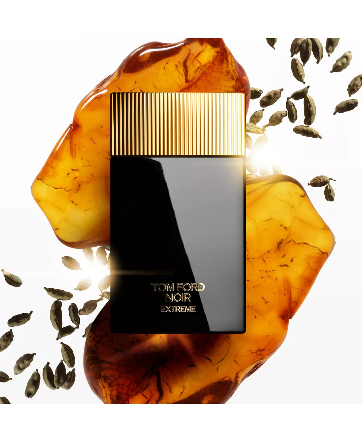 Noir Extreme by Tom Ford for Men Eau de Parfum Spray 1.7 oz