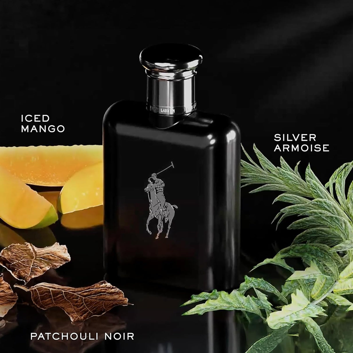 Polo Black by Ralph Lauren for Men Eau de Toilette Spray 4.2 oz
