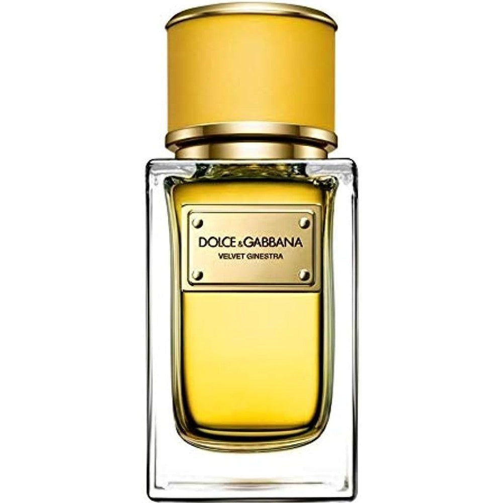 Dolce & Gabbana Velvet Ginestra for Women Eau de Parfum Spray 5 oz