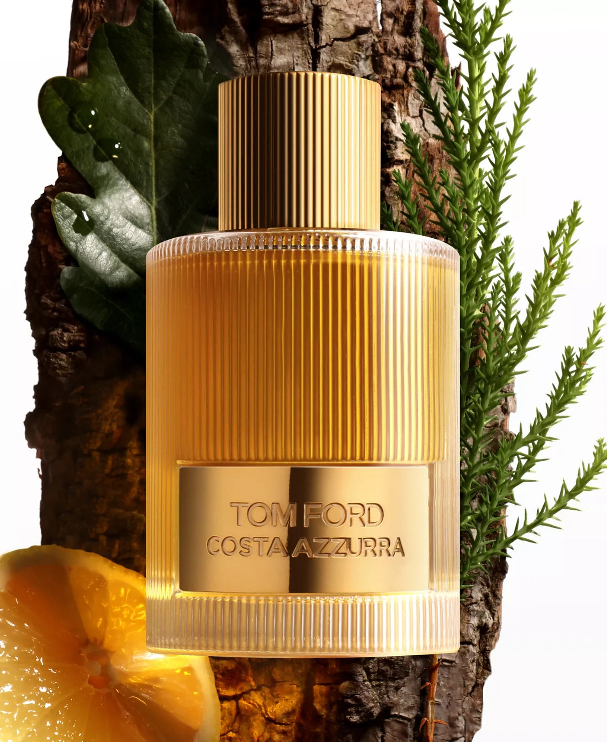 Costa Azzurra by Tom Ford Eau de Parfum Spray 1.7 oz