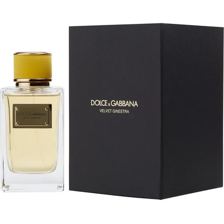 Dolce & Gabbana Velvet Ginestra for Women Eau de Parfum Spray 5 oz
