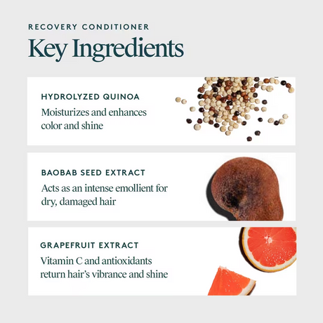 Virtue Recovery Conditioner 17 oz