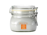 Borghese Fango Restorativo Restorative Hydrating Mud Mask 17.6 oz