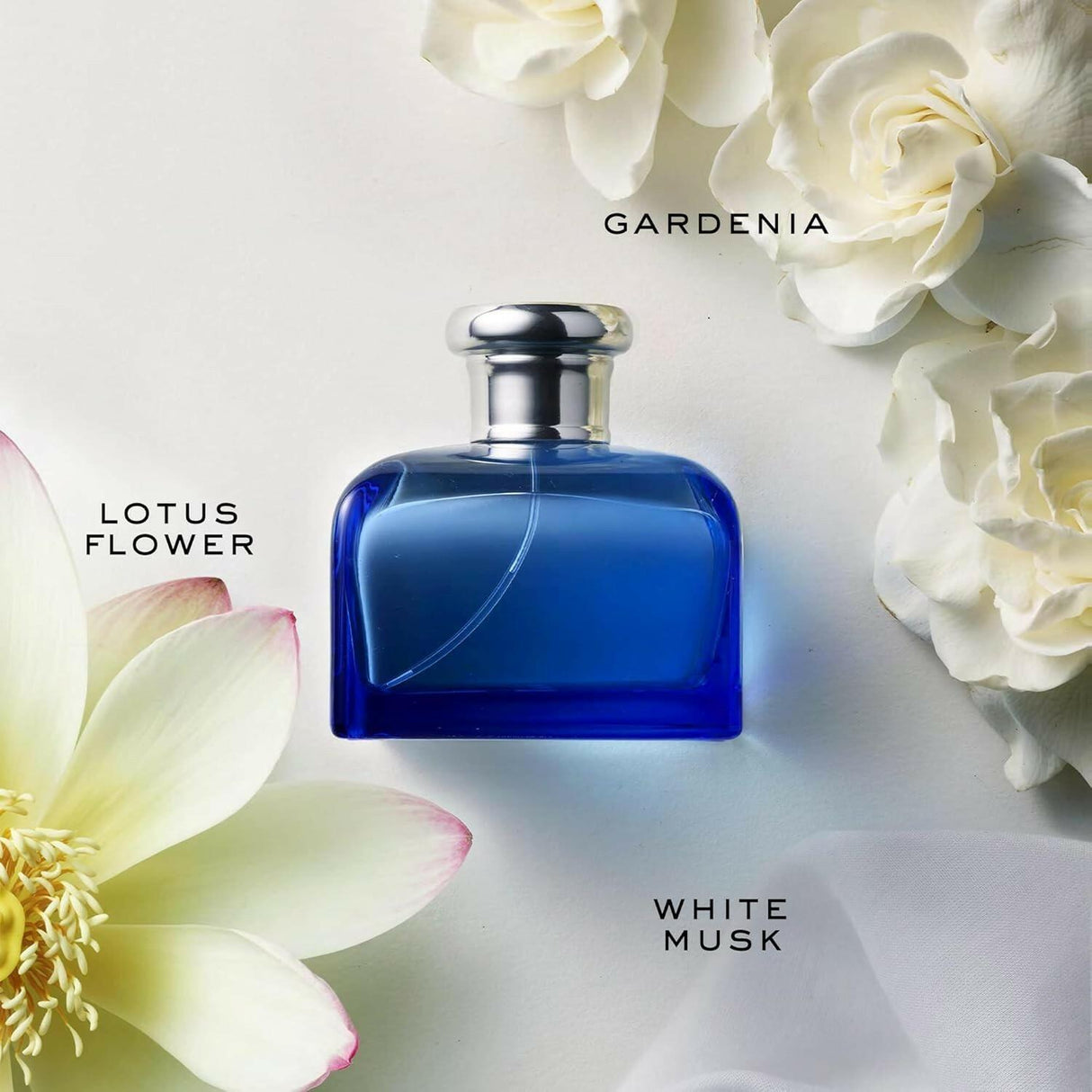 Ralph Lauren Blue for Women Eau de Toilette Spray 4.2 oz