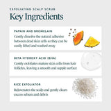 Virtue Exfoliating Scalp Treatment 5 oz