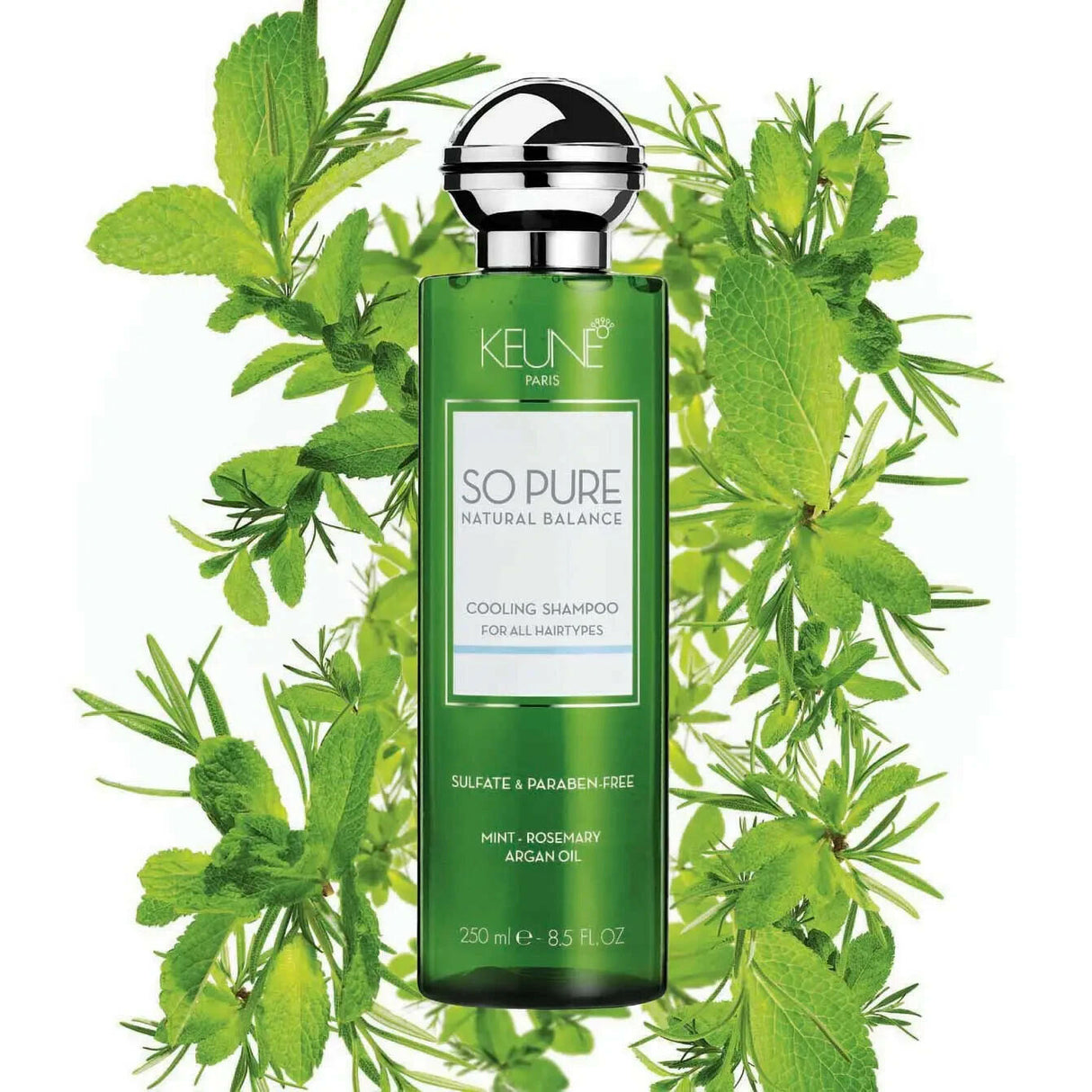 Keune So Pure Cooling Shampoo 8.5 oz